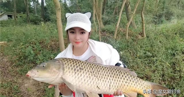 丁俊晖女友潘晓婷:潘晓婷为什么被称为“中国九球第一美女”