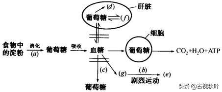 日常生活科普小知识,生活中有哪些化学知识与原理有哪些？