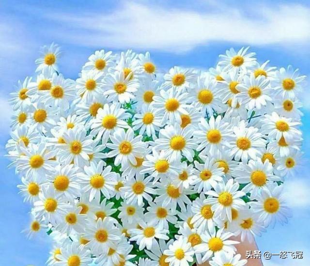 小学语文教材的插图为什么这么丑 头条问答