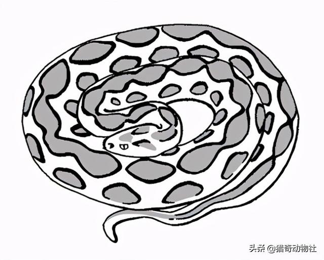 深圳厕所灵异事件:大家半夜起来上厕所，发生的最诡异的事是什么？