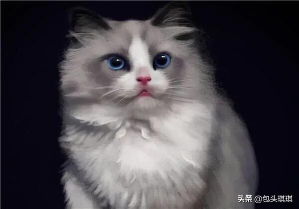 野猫八翻:猫“翻肠子”是怎么回事？有药物吗？