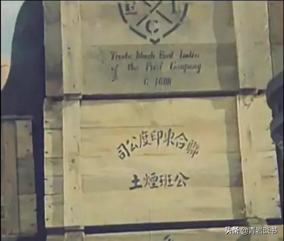 吸猫为什么有快感视频:大家如何看待