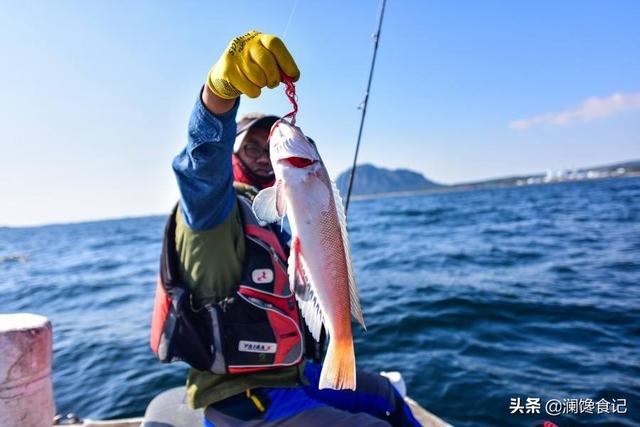 深海巨腹鱼在哪钓:90后想做个职业海钓人，去哪里比较合适？