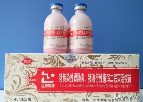 猪拉稀的原因文章:猪拉稀，同时猪粪是铁绣色，有可能是什么原因导致的？该怎么办？