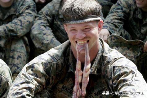 蓝长腺珊瑚蛇是眼镜蛇吗:什么东西能引起毒蛇暴躁咬人？