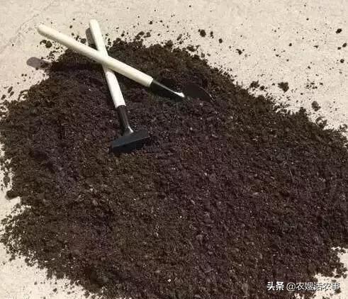 怎么杀死土壤里的虫子,怎样消灭花卉土壤里的害虫？