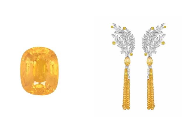 蓝宝石哪些人不宜戴,蓝宝石葡萄优缺点是什么？都有哪些品种？