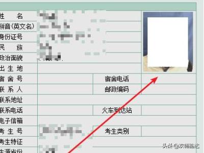 学信网的照片怎么弄出来（学信网上怎么查看自己的照片）