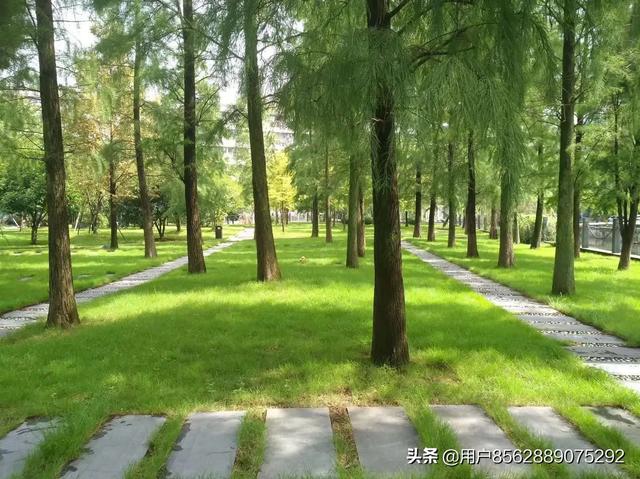 单身女生微信名简单优雅的:单身的年轻女孩，在<a href=https://maguai.com/list/54-0-0.html target=_blank class=infotextkey><a href=https://maguai.com/list/54-0-0.html target=_blank class=infotextkey>休闲</a></a>的时光，适合读什么书才好？