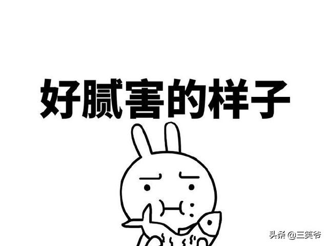 微信聊天表情:微信聊天怎么获得可爱有趣的表情包？(微信怎么打字出现表情包)