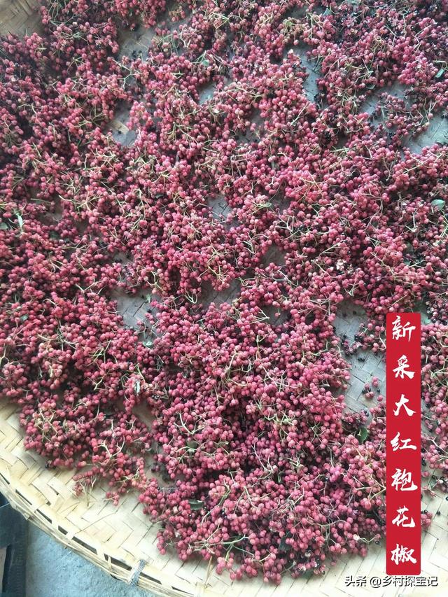 在你的家乡农村,有什么更好的种植产业？具体消费人群有哪些？