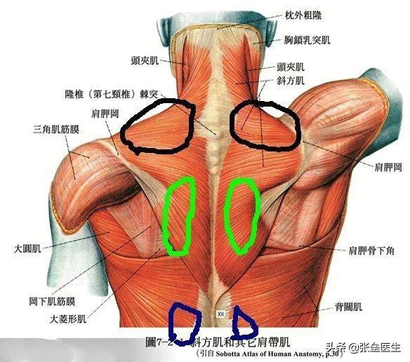 常见脊柱病:常见脊柱病变表现有哪些 哪些病可以引起脊柱源性神经痛？