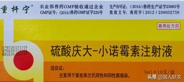 蛙眼守宫有细菌吗:如何有效预防青蛙歪头症状？