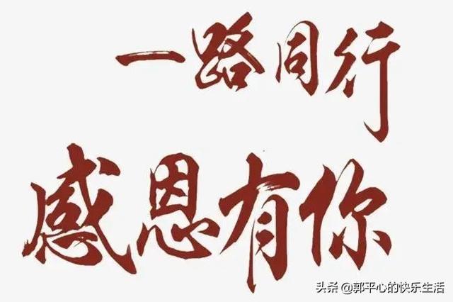 高中辍学干什么好？