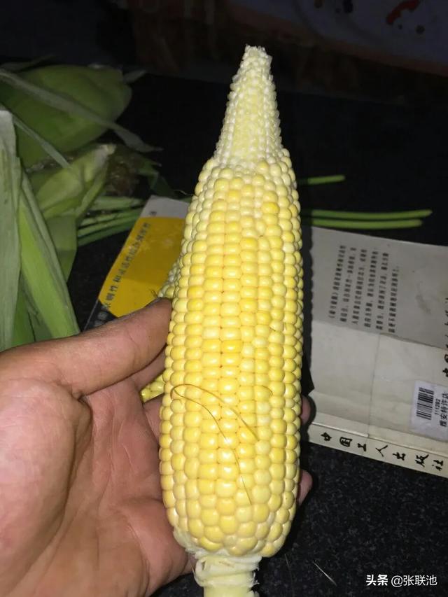 玉米穗颗粒不饱满或缺粒是什么原因引起的如何进行防治