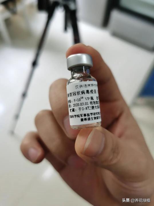 中国新冠病毒疫苗什么时候开始打?新冠病毒疫苗什么时候我们开始打