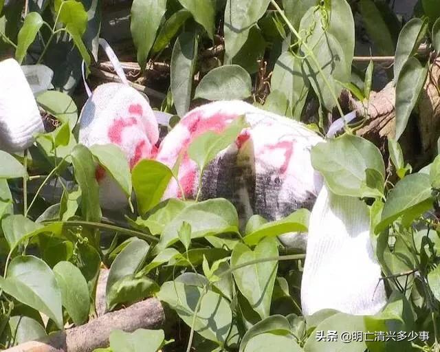 灵异事件监控录像娃娃机:娃娃机复位键的传闻是真的吗？