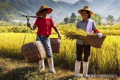 俗谚：农夫不使劲,饿死世间人！如今农村人不愿种地会饿死人吗？