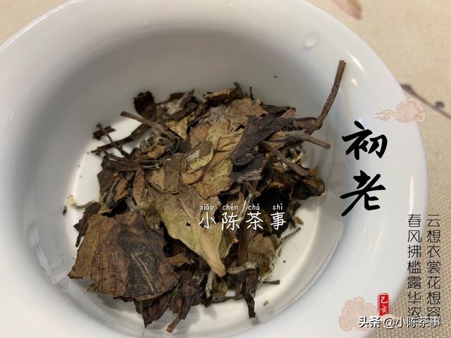 老白茶的好处,银针和老白茶有什么区别？