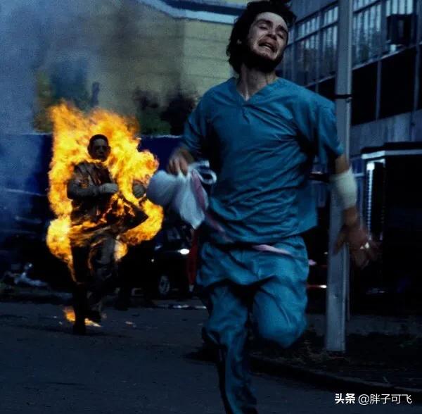 国内与狗有关的电影:有哪些像《行尸走肉》这样的国产影片？