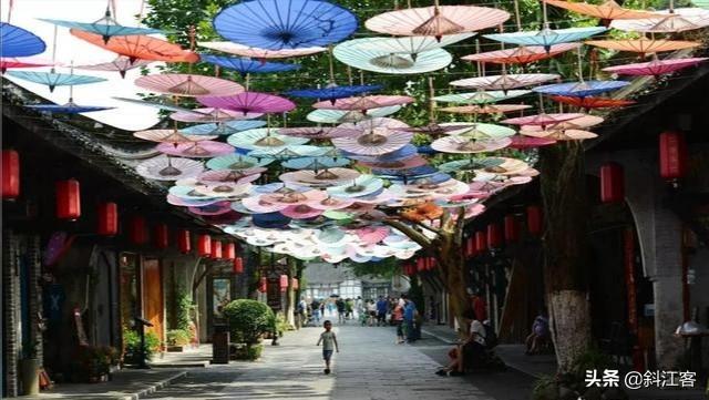 大熊猫误入水电站:为什么人类不吃大王酸浆鱿鱼？能吃吗？