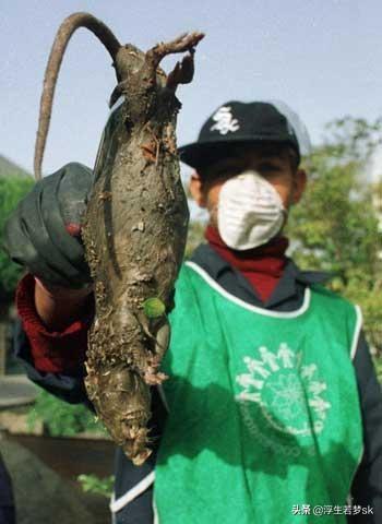 庇古效应的削弱:庇古效应剑桥方程 如果地球的磁场消失，地球会怎么样？