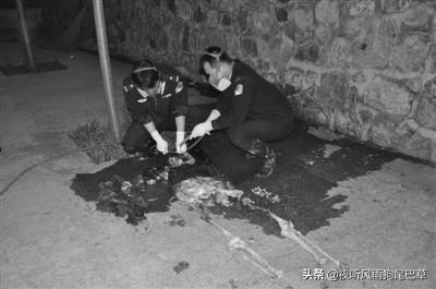 国内有没有重大著名的女性犯罪的案件？