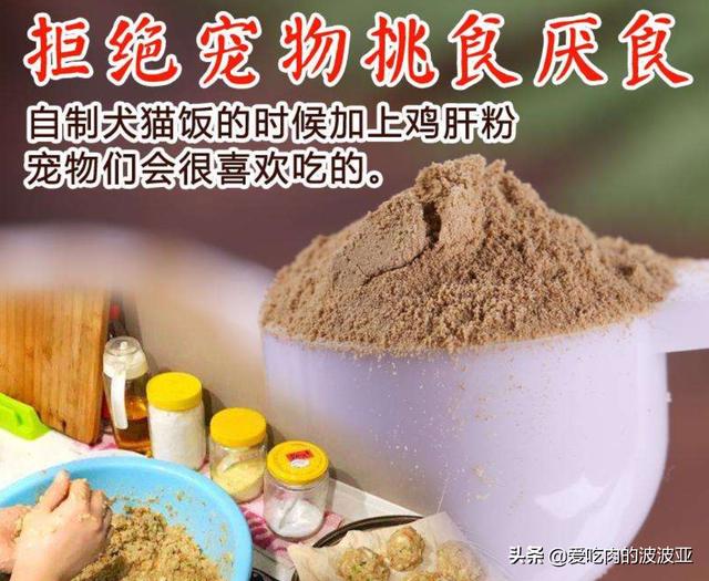 小猫吃什么:哪些食物是猫咪最爱吃的？ 小猫吃什么食物