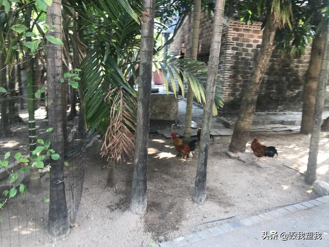 焦雅亮:有没有三亚本地人解答一下，哪里人少又好玩？