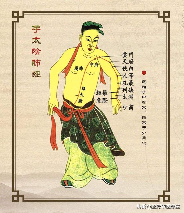 肺部的经络在人体上哪个位置?如何养护?