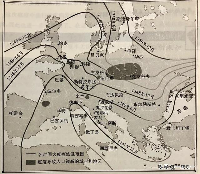 肺鼠疫怎么传播:损失了欧洲近半人口的黑死病能治吗？它是怎样产生又怎样灭亡的？