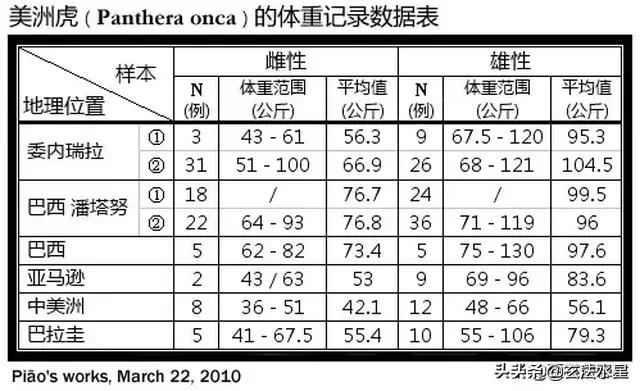 阿根廷杜高对美洲豹:以花豹的实力，一对一与美洲豹单挑能够赢吗？