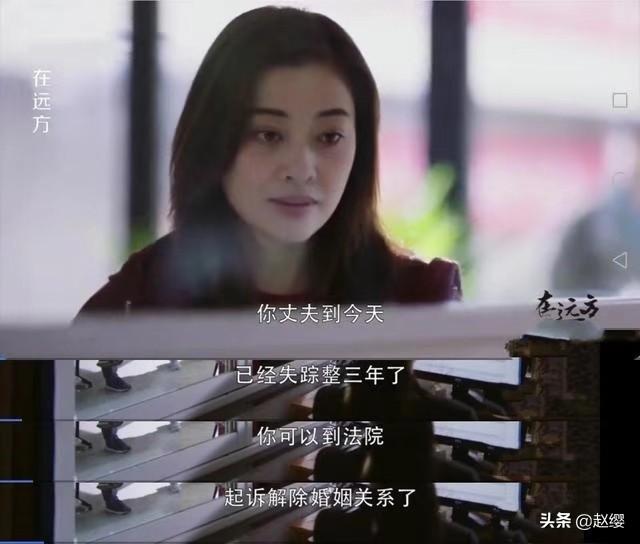 电视剧在远方剧情介绍:《在远方》中由梅婷饰演的刘爱莲和姚远究竟是什么关系？