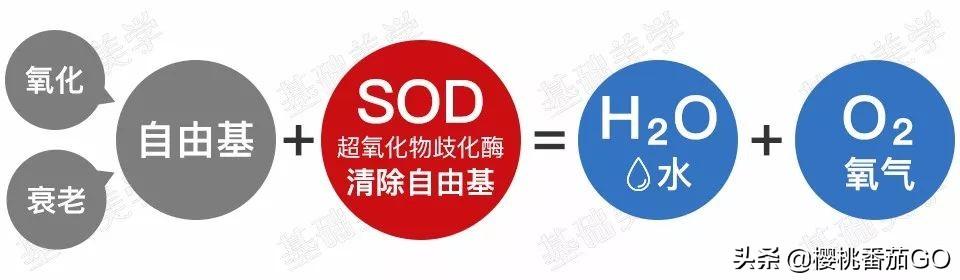 为什么金丝玉那么便宜,你认为金丝玉是在炒作吗？