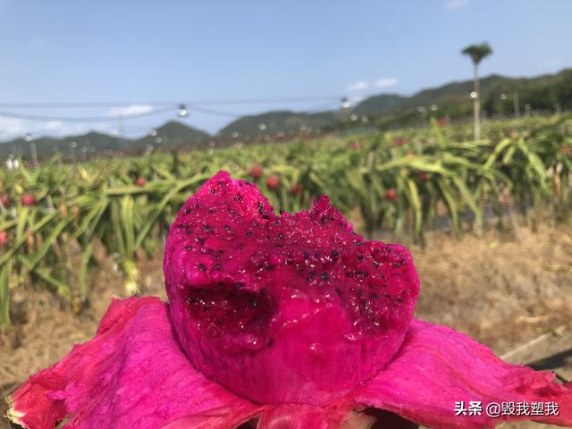 焦雅亮:有没有三亚本地人解答一下，哪里人少又好玩？