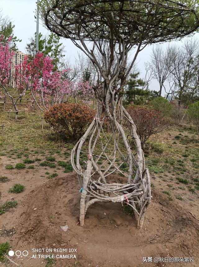 简单的快乐生活 耳元:普通人一天的生活是怎么样的？