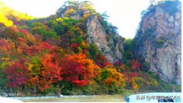 黄河巨龟:你认为中国最值得游览的十大名山有哪些，为什么