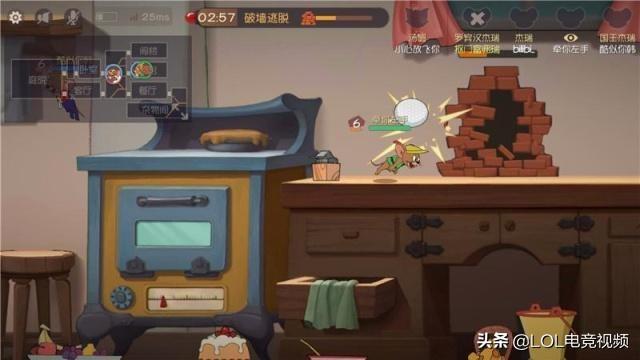 猫比特犬网易:猫的反应速度为什么那么快？