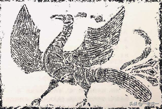 凤凰鸟真实照片，历史上真的有龙和凤凰吗？