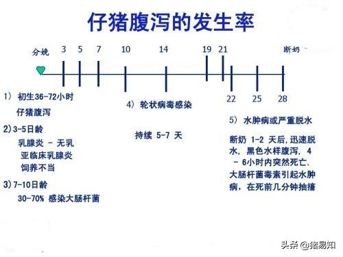 猪传染性胃肠炎的症状及治疗:3日龄猪感染流行性腹泻怎么办？