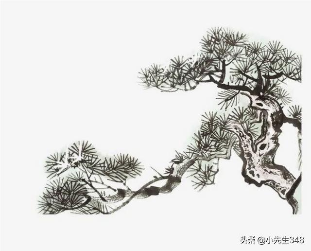 头条问答 - 请大师们看这幅松树图,有何评价?(32个回答)