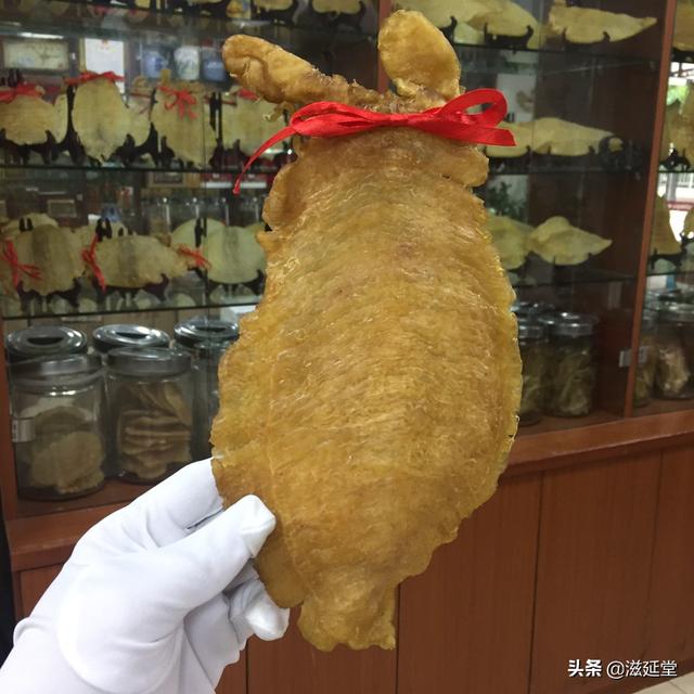 黑鳘鱼鱼胶价格:30年的老鱼胶价值高吗？