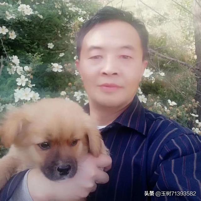 德阳狗狗微信交流群:为什么狗狗那么喜欢舔人？