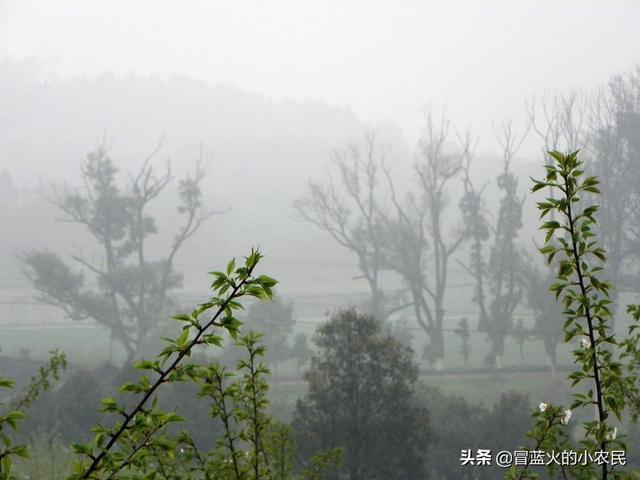 农村老人说“每年七月七这天都会下雨”,这是为何？