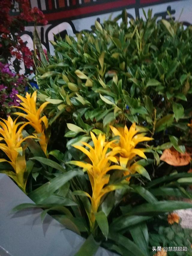 微信头像用自己的真实照片好吗？为什么？