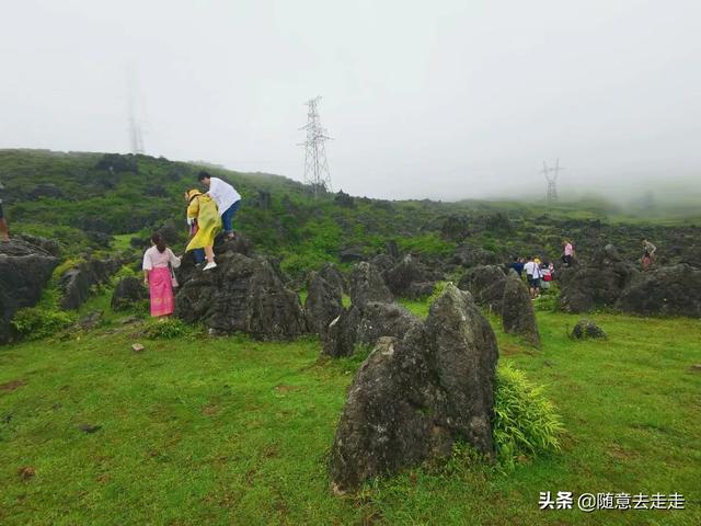 普者黑和泸沽湖哪一个更值得去呢