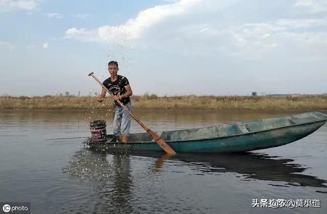 现在有的农村不少房屋空置,土地荒废,偌大的村庄没以前热闹了,为什么？