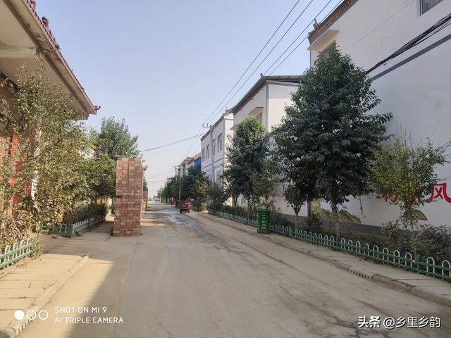 怎么做院子围墙又便宜又好看？插图15