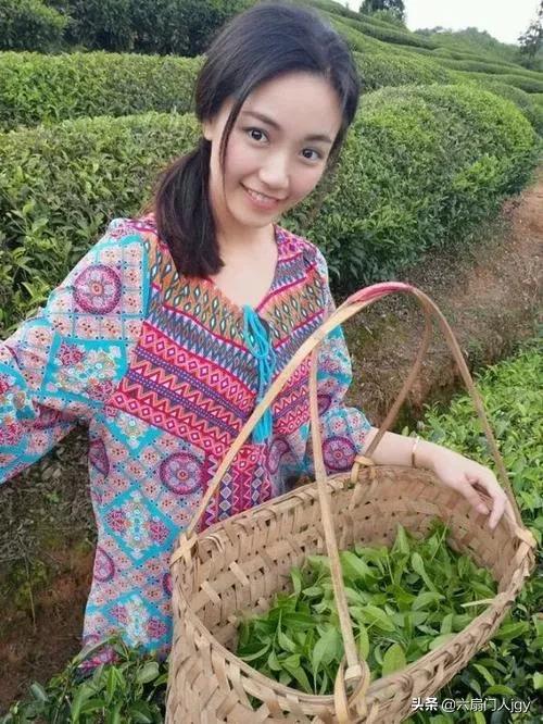 遇上微信“茶叶女”,你们一般是怎么聊的？