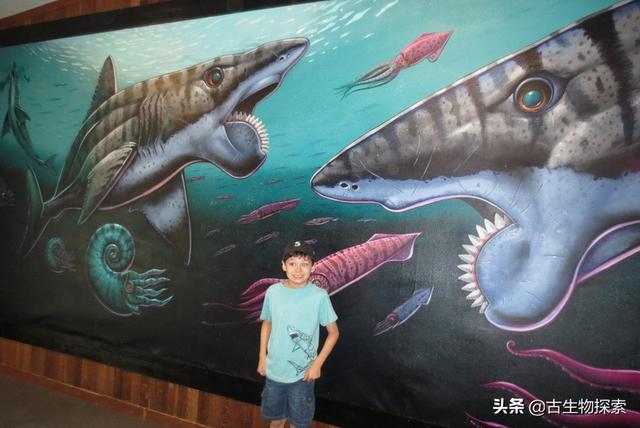旋齿鲨:如果让你根据企鹅的骨骼来复原企鹅，你会把企鹅复原成什么样子？